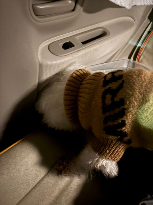 CAMPiii（キャンピー） ちろ犬さんのキャンプブログ 第88話　ワカサギからのチェアリング？？？ 神川ゆ～ゆ～ランド自由広場