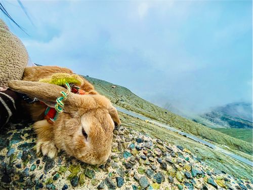 念願だった初・阿蘇(熊本)の秋を楽しむおじおばうさキャン△ in ゴンドーシャロレー 〜 CAMP NO.163 ゴンドーシャロレー ファミリーキャンプ グループキャンプ 区画サイト おじキャン△さんのキャンプブログ CAMPiii（キャンピー） -キャンプ専用SNS キャンプのすべてがここに集まる-