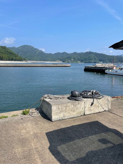 サーフィン釣りキャンプ 根浜海岸観光施設 根浜シーサイド・キャンプ場 ソロキャンプ 区画サイト オートサイト こまってぃさんのキャンプブログ CAMPiii（キャンピー） -キャンプ専用SNS キャンプのすべてがここに集まる-