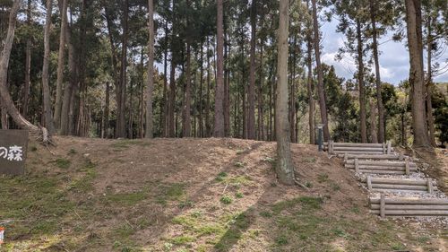 おひさしぶりです！No.44 South One Village 館山 ソロキャンプ 区画サイト すーつさんのキャンプブログ CAMPiii（キャンピー） -キャンプ専用SNS キャンプのすべてがここに集まる-