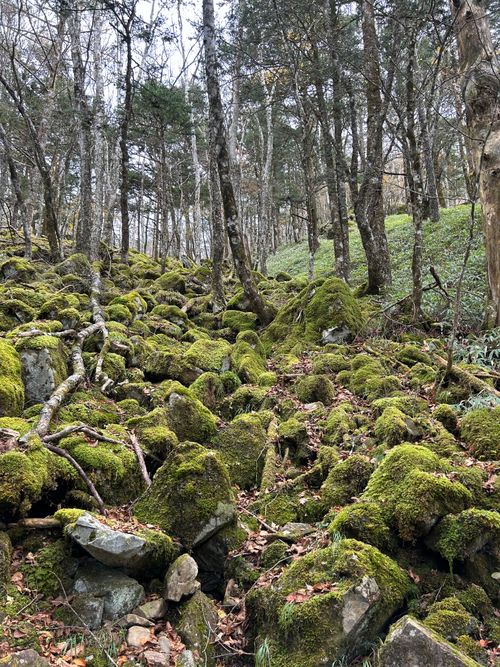 誘われて大菩薩嶺(自分は車中泊😆) 大菩薩嶺 ソロキャンプ グループキャンプ Genさんのキャンプブログ CAMPiii（キャンピー） -キャンプ専用SNS キャンプのすべてがここに集まる-