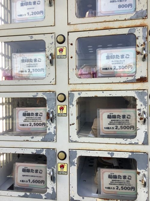 Vol.111 26/NO.01 新年1発目はココで‼️ 坂戸市 ソロキャンプ フリーサイト 🔥焚き火🔥さんのキャンプブログ CAMPiii（キャンピー） -キャンプ専用SNS キャンプのすべてがここに集まる-