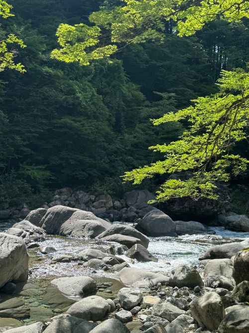 蒼空 阿寺渓谷キャンプ場 ファミリーキャンプ 区画サイト Aoさんのキャンプブログ CAMPiii(キャンピー) -キャンプ専用SNS キャンプのすべてがここに集まる-