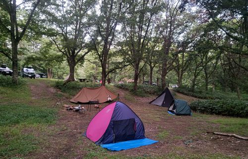 97回目のキャンプは接待だった。 聖湖キャンプ場 グループキャンプ フリーサイト サイババ-SBBcampさんのキャンプブログ CAMPiii(キャンピー) -キャンプ専用SNS キャンプのすべてがここに集まる-