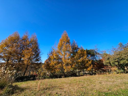 雲海キャンプ2025⑤は第8回SBCMT♪ 神石高原 ティアガルテン グループキャンプ フリーサイト 三代目とっしぃさんのキャンプブログ CAMPiii（キャンピー） -キャンプ専用SNS キャンプのすべてがここに集まる-