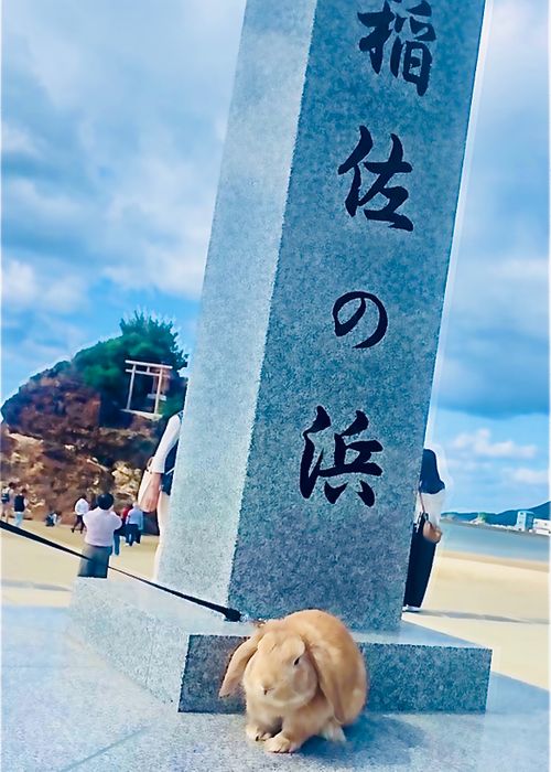 神在月に神の遣い《きなこ》と一緒に…出雲参拝おじおばうさキャン△ in 夢の森うさぎキャンプ場 〜 CAMP NO. うさぎ森林公園 夢の森うさぎ ファミリーキャンプ グループキャンプ 区画サイト おじキャン△さんのキャンプブログ CAMPiii(キャンピー) -キャンプ専用SNS キャンプのすべてがここに集まる-