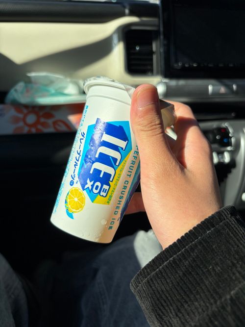 老人2人とピクニック 湖岸緑地 志那1 ファミリーキャンプ フリーサイト 美味しいご飯が食べたい！！さんのキャンプブログ CAMPiii（キャンピー） -キャンプ専用SNS キャンプのすべてがここに集まる-