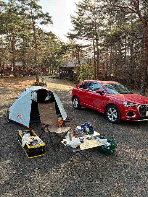 鹿いた！サウナの日、WBC満喫！ PICA富士西湖 ソロキャンプ オートサイト アクセルさんのキャンプブログ CAMPiii（キャンピー） -キャンプ専用SNS キャンプのすべてがここに集まる-