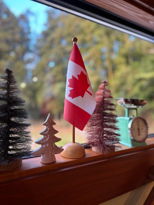 🎊新規キャンプ場オープン🎉🎉🎉 紫星の森 Oniyomeさんのキャンプブログ CAMPiii（キャンピー） -キャンプ専用SNS キャンプのすべてがここに集まる-