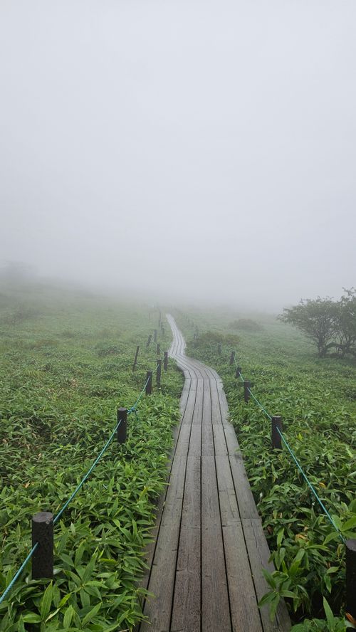 霧ヶ峰~金峰山~上高地 長野県 ソロキャンプ グループキャンプ 区画サイト オートサイト フリーサイト IZUIZUさんのキャンプブログ CAMPiii(キャンピー) -キャンプ専用SNS キャンプのすべてがここに集まる-