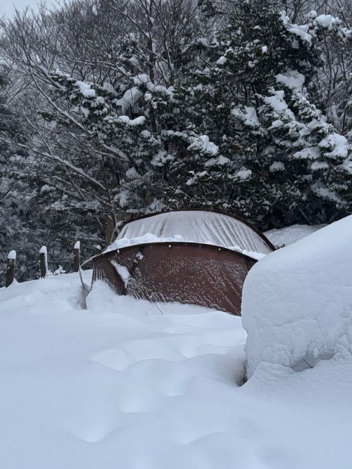 積雪｢ゼロcm」からの➡️➡️➡️➡️暴風のち災害級大雪キャンプ⛄️ 塩原グリーンビレッジ Oniyomeさんのキャンプブログ CAMPiii（キャンピー） -キャンプ専用SNS キャンプのすべてがここに集まる-