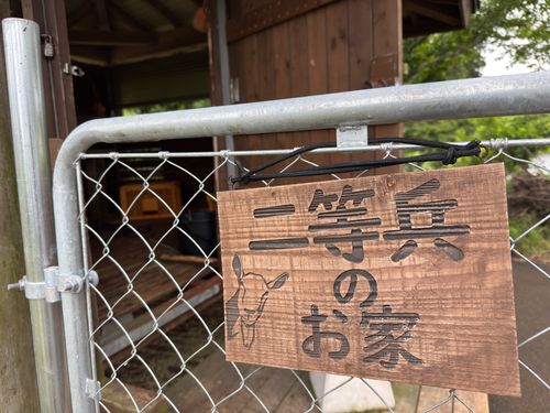 二日酔いキャンプ(祝10回目) UJackむつざわオートキャンプ場（泊地） ソロキャンプ 区画サイト オートサイト P-yaさんのキャンプブログ CAMPiii（キャンピー） -キャンプ専用SNS キャンプのすべてがここに集まる-