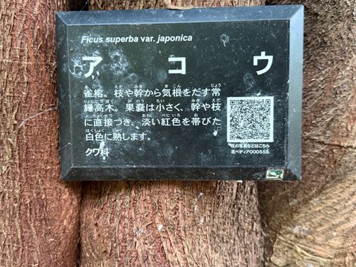 海キャンプ ファミリーキャンプ 区画サイト yoji@campさんのキャンプブログ CAMPiii（キャンピー） -キャンプ専用SNS キャンプのすべてがここに集まる-