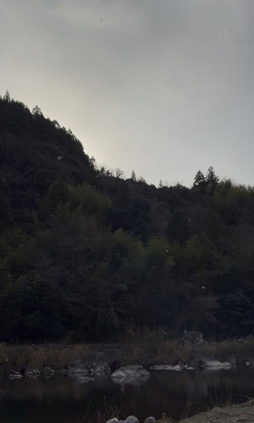 雪中？軍幕キャンプ🏕️ 前川キャンプ場 ソロキャンプ フリーサイト camping roll♪さんのキャンプブログ CAMPiii（キャンピー） -キャンプ専用SNS キャンプのすべてがここに集まる-