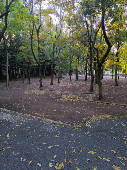 ツーリング登山キャンプ 河津オートキャンプ場 ソロキャンプ グループキャンプ 区画サイト オートサイト としえもんさんのキャンプブログ CAMPiii（キャンピー） -キャンプ専用SNS キャンプのすべてがここに集まる-