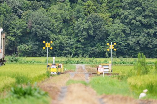全国旅キャンプ第7弾の茨城編２日目 大洗キャンプ場 ENJOY THE OUTDOORSさんのキャンプブログ CAMPiii（キャンピー） -キャンプ専用SNS キャンプのすべてがここに集まる-