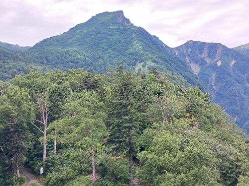 北海道の旨い!を食べるC△mp旅’ 2025(1 of 4) 北海道 ファミリーキャンプ キャンピングカー vios outdoor'sさんのキャンプブログ CAMPiii(キャンピー) -キャンプ専用SNS キャンプのすべてがここに集まる-