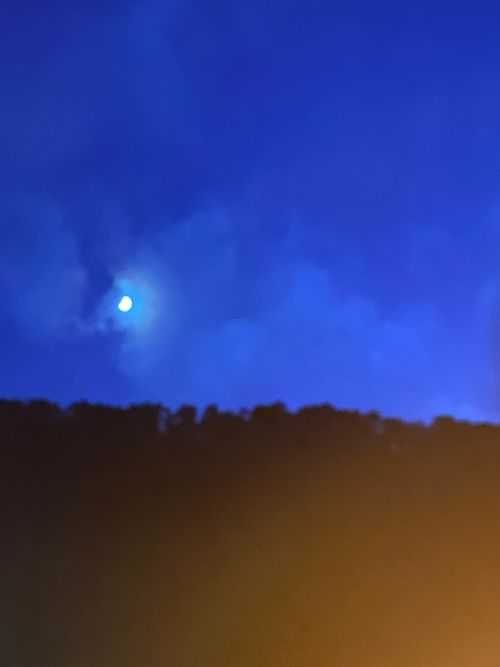 写真が少ない😞 とことん山キャンプ場 ファミリーキャンプ オートサイト 範馬勇次郎さんのキャンプブログ CAMPiii（キャンピー） -キャンプ専用SNS キャンプのすべてがここに集まる-