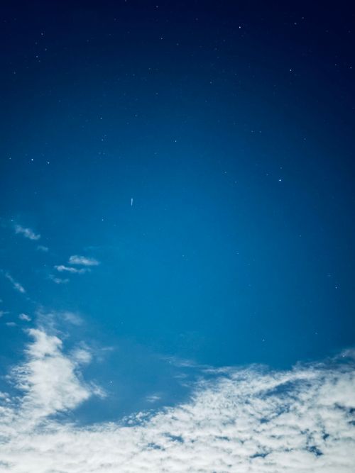唐揚げにレモンかけますか?檸檬って漢字は書けますか? 湖岸緑地 北山田3 ソロキャンプ フリーサイト とのさんのキャンプブログ CAMPiii(キャンピー) -キャンプ専用SNS キャンプのすべてがここに集まる-