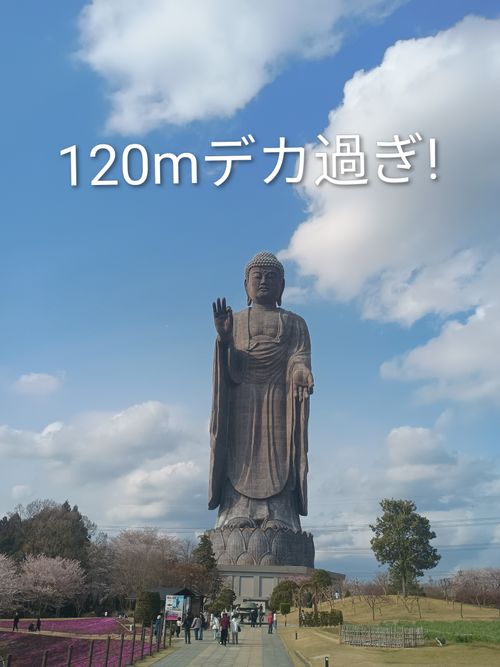 ポーランド軍幕会  中津川河川敷 グループキャンプ フリーサイト ウエィダーさんのキャンプブログ CAMPiii（キャンピー） -キャンプ専用SNS キャンプのすべてがここに集まる-