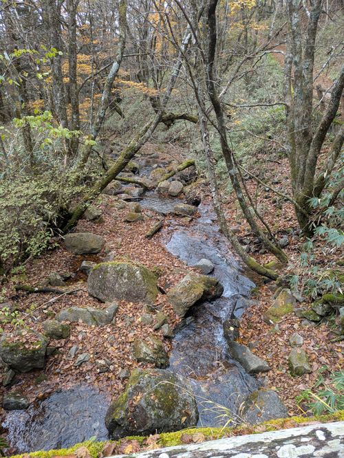 大菩薩嶺登山〜キャンプしてないけど😆 大菩薩嶺 グループキャンプ フリーサイト hachi329さんのキャンプブログ CAMPiii（キャンピー） -キャンプ専用SNS キャンプのすべてがここに集まる-