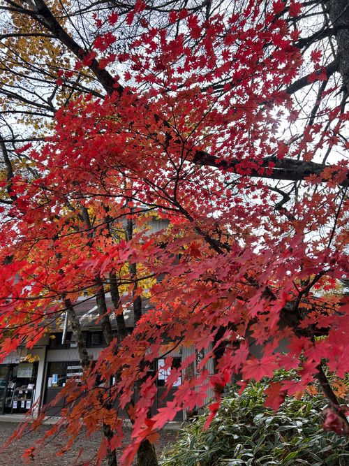 誘われて大菩薩嶺(自分は車中泊😆) 大菩薩嶺 ソロキャンプ グループキャンプ Genさんのキャンプブログ CAMPiii（キャンピー） -キャンプ専用SNS キャンプのすべてがここに集まる-