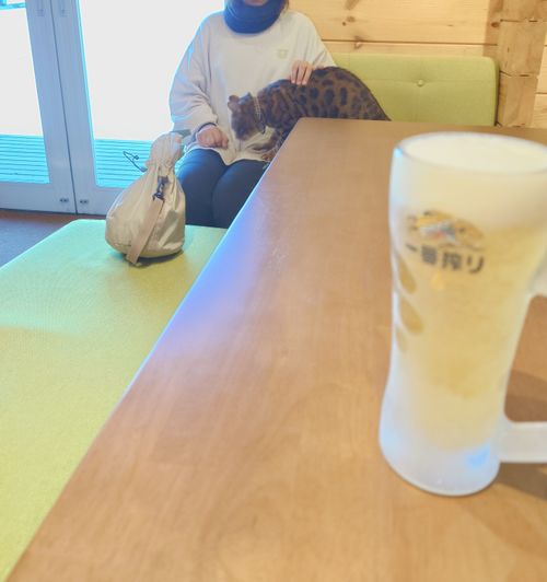 寒いのか？秋キャンプ GRAND VERDE RESORT ファミリーキャンプ 区画サイト Harryさんのキャンプブログ CAMPiii（キャンピー） -キャンプ専用SNS キャンプのすべてがここに集まる-