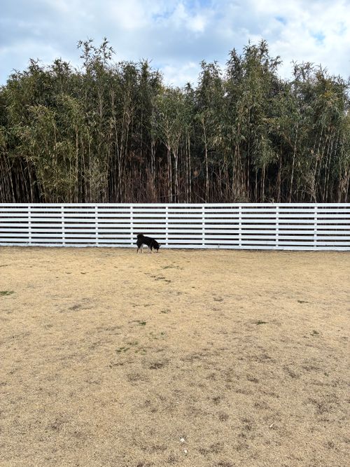 ようやく今年初キャンプは完ソロ！ Ocean's Camp TORAMII -ichinomiya-（オーシャンズキャンプトラミ一宮） ソロキャンプ オートサイト 区画サイト アクセルさんのキャンプブログ CAMPiii（キャンピー） -キャンプ専用SNS キャンプのすべてがここに集まる-