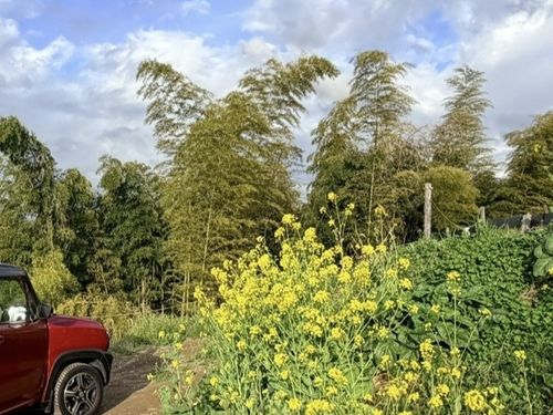 景色よき！アットホームな期間限定高規格キャンプ場 CLOUD-９ ソロキャンプ グループキャンプ 区画サイト Honey Bさんのキャンプブログ CAMPiii（キャンピー） -キャンプ専用SNS キャンプのすべてがここに集まる-