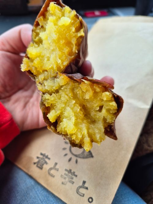 2026年初キャンプ 秋吉台家族旅行村 ファミリーキャンプ 区画サイト オートサイト KSKさんのキャンプブログ CAMPiii（キャンピー） -キャンプ専用SNS キャンプのすべてがここに集まる-