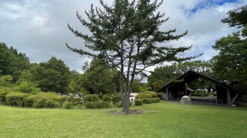 福岡最近の避暑地と言えばここ くじゅうやまなみキャンプ村 ファミリーキャンプ 区画サイト フォレキャンさんのキャンプブログ CAMPiii（キャンピー） -キャンプ専用SNS キャンプのすべてがここに集まる-