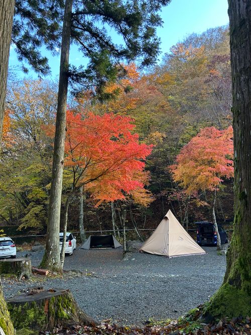 紅葉🍁キャンプ 山伏オートキャンプ場 ソロキャンプ グループキャンプ 区画サイト Genさんのキャンプブログ CAMPiii（キャンピー） -キャンプ専用SNS キャンプのすべてがここに集まる-