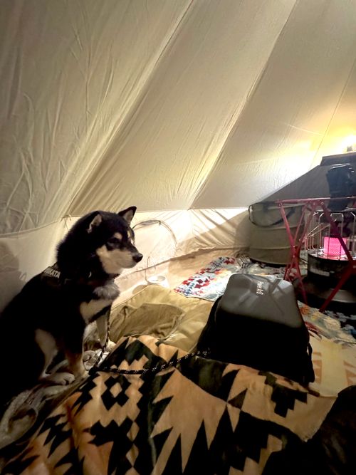 今月2回目⛺️今回も天気に恵まれて最高 ふもとっぱらキャンプ場 ソロキャンプ フリーサイト OYAKATAさんのキャンプブログ CAMPiii（キャンピー） -キャンプ専用SNS キャンプのすべてがここに集まる-