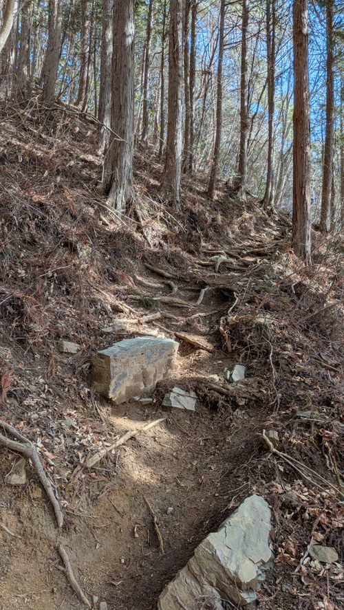 Bカップぐらいが良い 秩父市 ソロキャンプ グループキャンプ 区画サイト オートサイト IZUIZUさんのキャンプブログ CAMPiii（キャンピー） -キャンプ専用SNS キャンプのすべてがここに集まる-