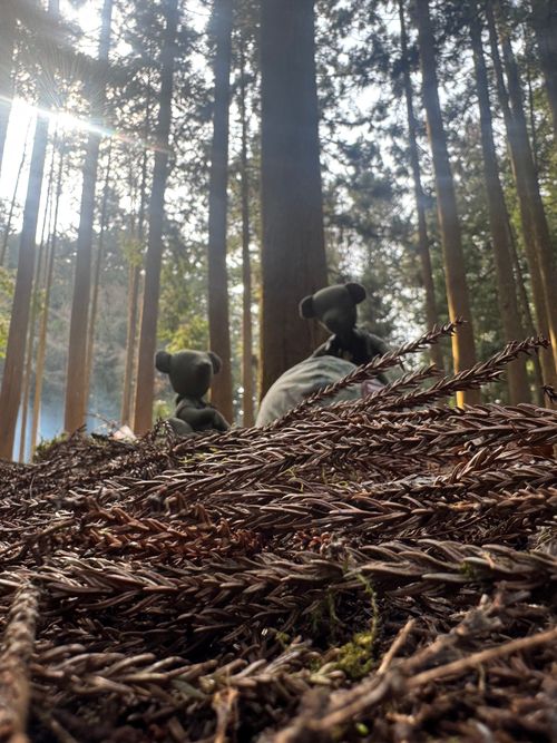 y'scampmarket主催 第5回 軍幕会 姫路市夢さき夢のさと夢やかた グループキャンプ フリーサイト てぃーえむキャンプさんのキャンプブログ CAMPiii（キャンピー） -キャンプ専用SNS キャンプのすべてがここに集まる-