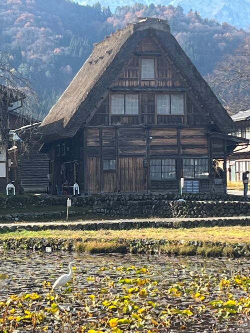 あれ⁈こないだ来たよーな… 閑乗寺公園 キャンプ場 グループキャンプ ソロキャンプ ファミリーキャンプ フリーサイト まっつんさんのキャンプブログ CAMPiii（キャンピー） -キャンプ専用SNS キャンプのすべてがここに集まる-