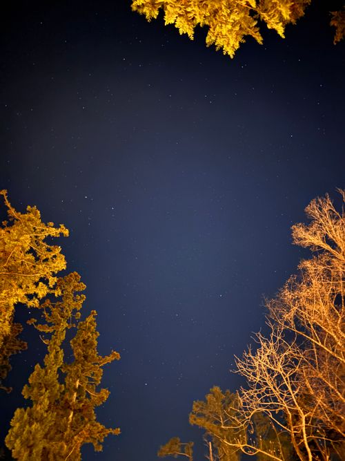 キャンプ解禁🎉＆乾杯🍻青木ヶ原樹海を歩く!? 「フラット登山」第2弾 DOTEKAGE CAMP GROUND 区画サイト Jimko☆さんのキャンプブログ CAMPiii（キャンピー） -キャンプ専用SNS キャンプのすべてがここに集まる-