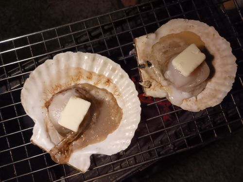 北海道の旨い!を食べるC△mp旅’2025(3 of 4) 北海道 ファミリーキャンプ キャンピングカー vios outdoor'sさんのキャンプブログ CAMPiii(キャンピー) -キャンプ専用SNS キャンプのすべてがここに集まる-