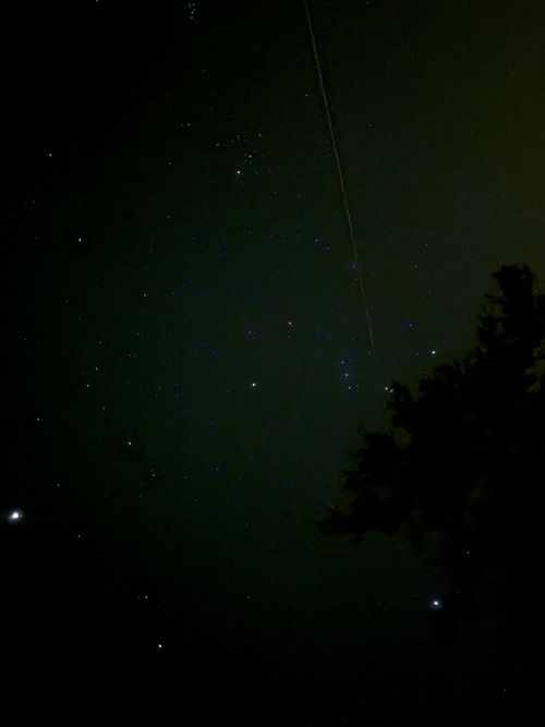 久しぶりに 神割崎キャンプ場 ファミリーキャンプ フリーサイト 範馬勇次郎さんのキャンプブログ CAMPiii（キャンピー） -キャンプ専用SNS キャンプのすべてがここに集まる-