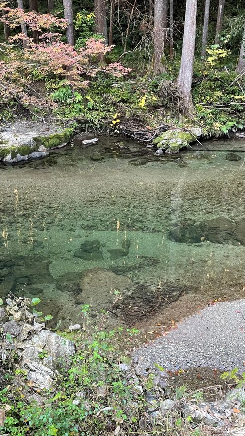 紀伊半島3/3キャンプ（和歌山県） フォーシーズンズキノカワ ファミリーキャンプ 区画サイト オートサイト フォレキャンさんのキャンプブログ CAMPiii（キャンピー） -キャンプ専用SNS キャンプのすべてがここに集まる-