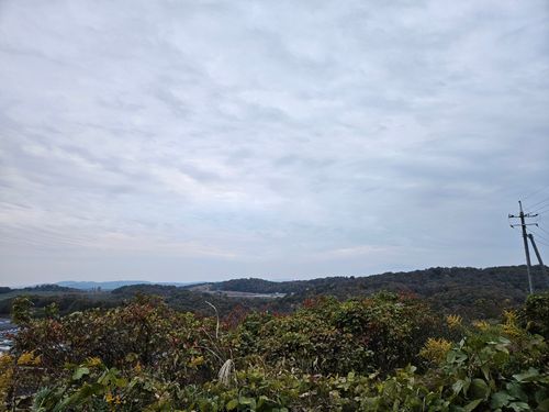 雲海キャンプ➃は雨☔ 花の駅せら オートキャンプ場 ソロキャンプ 区画サイト オートサイト 三代目とっしぃさんのキャンプブログ CAMPiii（キャンピー） -キャンプ専用SNS キャンプのすべてがここに集まる-