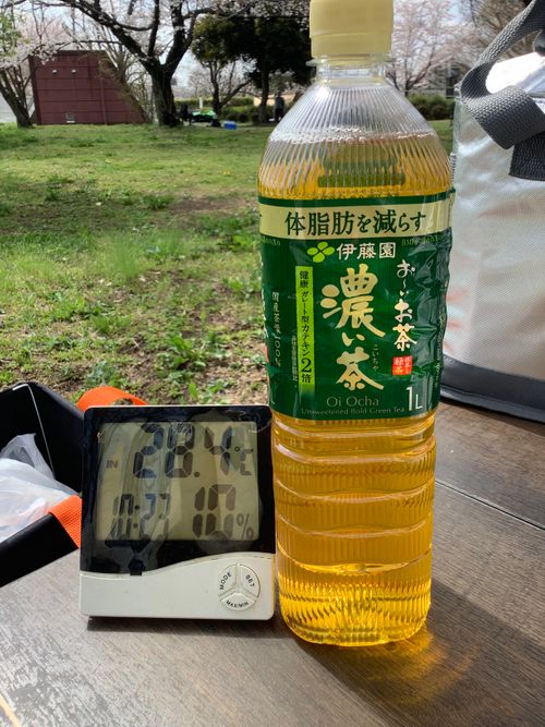 Vol.114 26/NO.04 お花見しながらお肉焼くぅ‼️ 坂戸市 ソロキャンプ フリーサイト 🔥焚き火🔥さんのキャンプブログ CAMPiii（キャンピー） -キャンプ専用SNS キャンプのすべてがここに集まる-