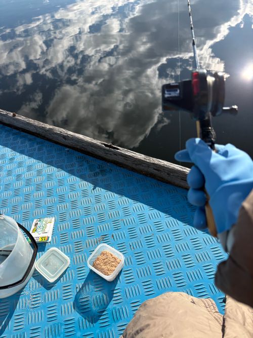 第87話　　ワカサギ釣りしてきた！キャンプはしてない 群馬県 ソロキャンプ ちろ犬さんのキャンプブログ CAMPiii（キャンピー） -キャンプ専用SNS キャンプのすべてがここに集まる-