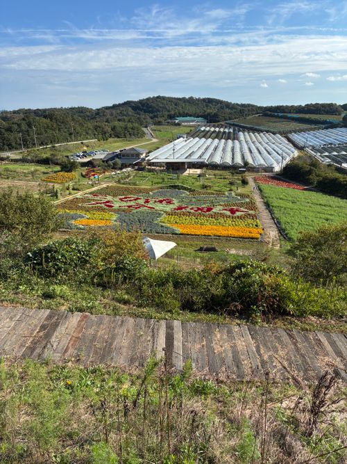 2025年13回目、お花畑キャン💐 花の駅せら「世羅ゆり園」 ファミリーキャンプ 区画サイト オートサイト わいげさんのキャンプブログ CAMPiii（キャンピー） -キャンプ専用SNS キャンプのすべてがここに集まる-
