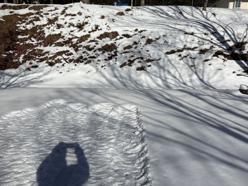 初るぽぽの森〜雪中〜 るぽぽの森 （るぽぽかわさき＆笹谷オートキャンプ場） ソロキャンプ 区画サイト オートサイト ぱぱちょさんのキャンプブログ CAMPiii（キャンピー） -キャンプ専用SNS キャンプのすべてがここに集まる-