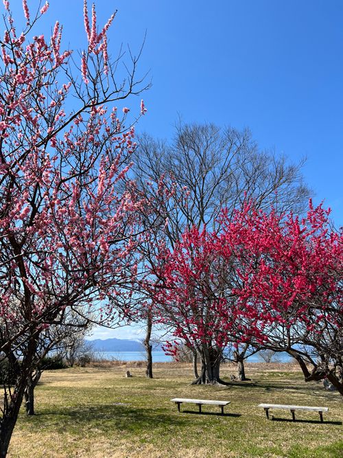 遠征キャンプ② 琵琶湖 ソロキャンプ YOTIさんのキャンプブログ CAMPiii（キャンピー） -キャンプ専用SNS キャンプのすべてがここに集まる-