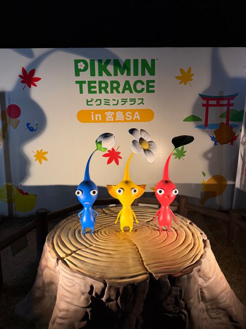 WILD BUNCH FES & CAMP 山口きらら博記念公園 グループキャンプ フリーサイト あやぴーさんのキャンプブログ CAMPiii（キャンピー） -キャンプ専用SNS キャンプのすべてがここに集まる-