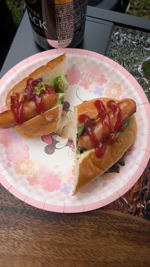ほう　ほう　ほたるこい🎵久し振りのホタルキャンプ🏕️ ソロキャンプ ファミリーキャンプ グループキャンプ 区画サイト オートサイト ヒゲキャンさんのキャンプブログ CAMPiii（キャンピー） -キャンプ専用SNS キャンプのすべてがここに集まる-