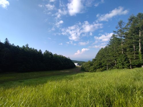 標高1,450mの避暑キャンプ 小海リエックスキャンプ場 ソロキャンプ グループキャンプ 区画サイト オートサイト Honey Bさんのキャンプブログ CAMPiii(キャンピー) -キャンプ専用SNS キャンプのすべてがここに集まる-