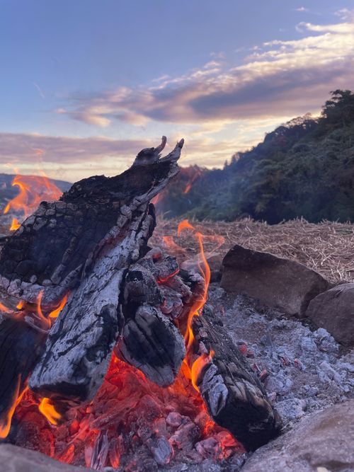 久しぶりのホーム GROVE camping hill ソロキャンプ ファミリーキャンプ グループキャンプ 区画サイト フリーサイト オートサイト ENJOY THE OUTDOORSさんのキャンプブログ CAMPiii（キャンピー） -キャンプ専用SNS キャンプのすべてがここに集まる-